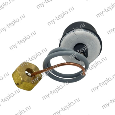 Манометр для котлов Baxi ECO STAR (KTmanomECOSTAR)